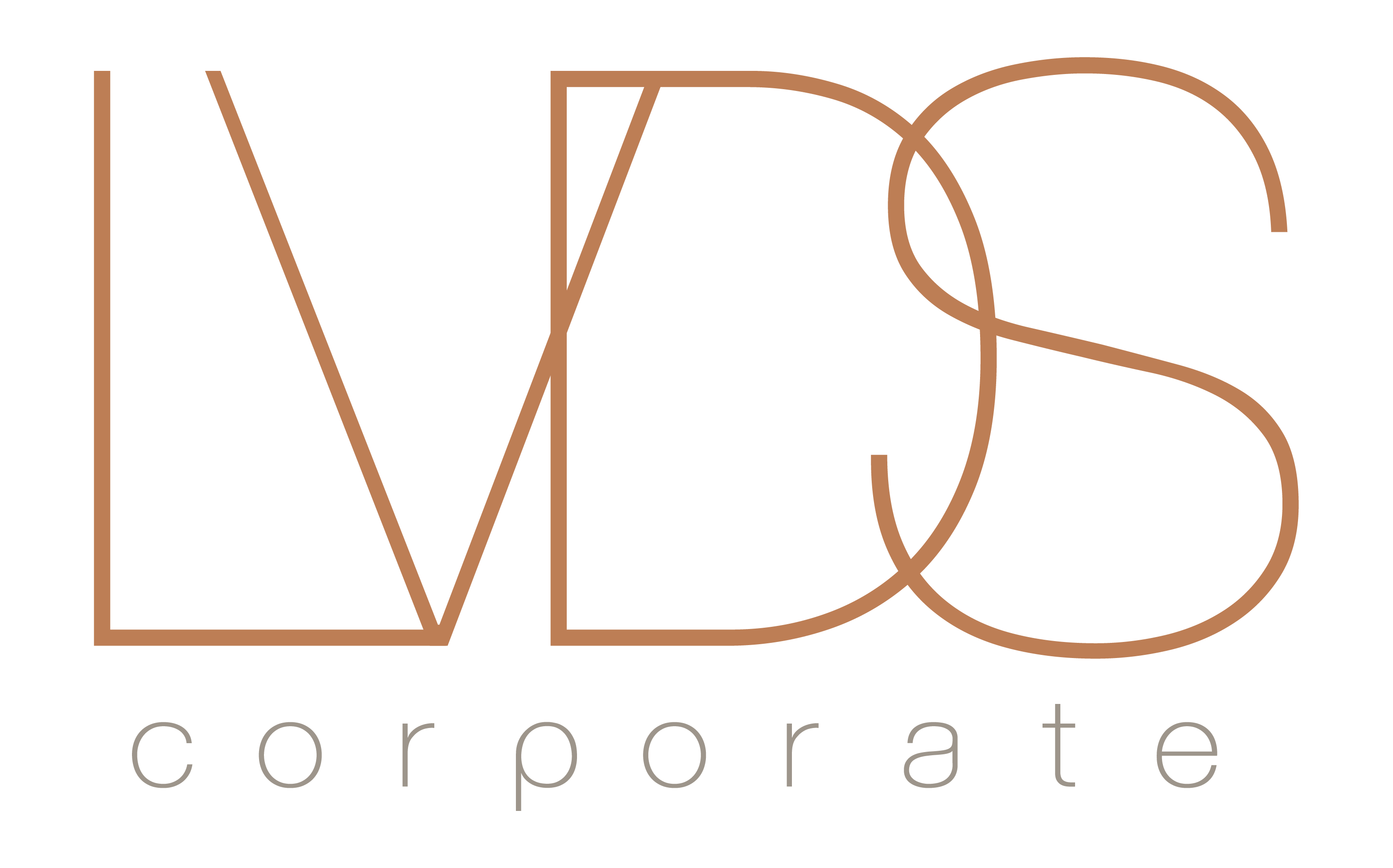 logo LVDS Corporate